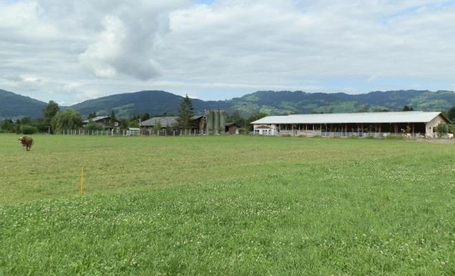 Steigmatt Bauernhof- Erlebnis Villa Montlingen Екстериор снимка