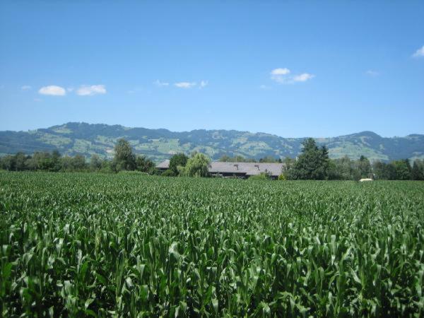 Steigmatt Bauernhof- Erlebnis Villa Montlingen Екстериор снимка