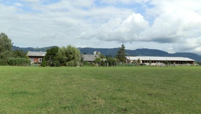 Steigmatt Bauernhof- Erlebnis Villa Montlingen Екстериор снимка